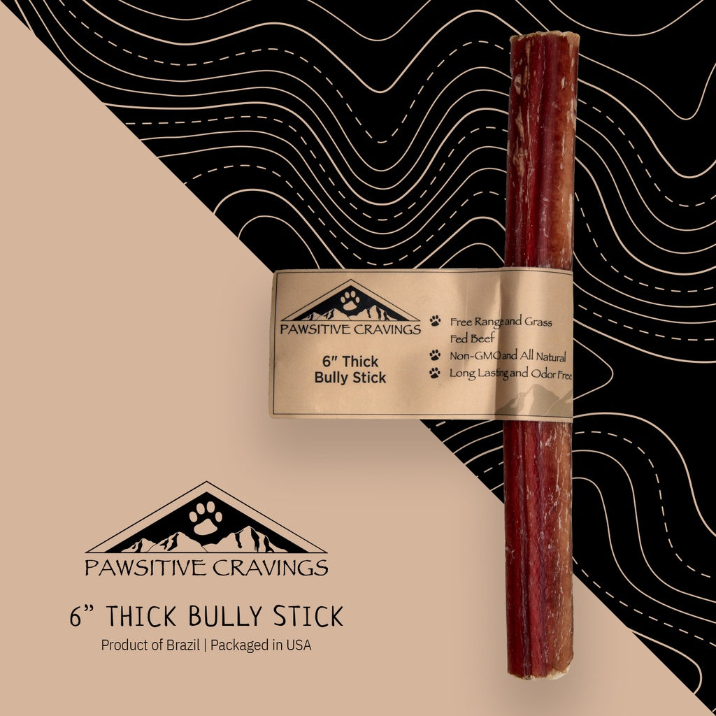 Pawsitive Cravings 6 inch Thick Bully Stick (Pack of 50 / $2.50ea)