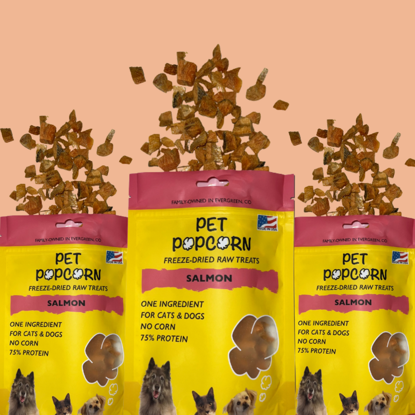 Pet Popcorn Salmon Treats