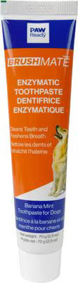 Paw Ready BrushMate ToothPaste