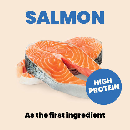 Almo Nature Complete HQS Salmon Recipe with Papaya in gravy