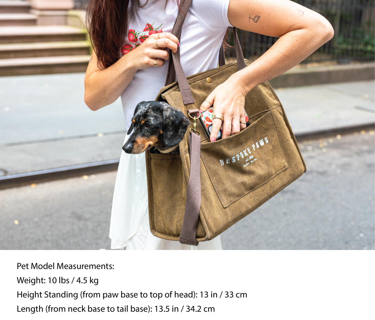 Bespoke Paws THE DAILY Pet Carrier Army (Pack of 2)