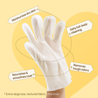 HICC Pet Deodorizing Glove Wipes 20pcs