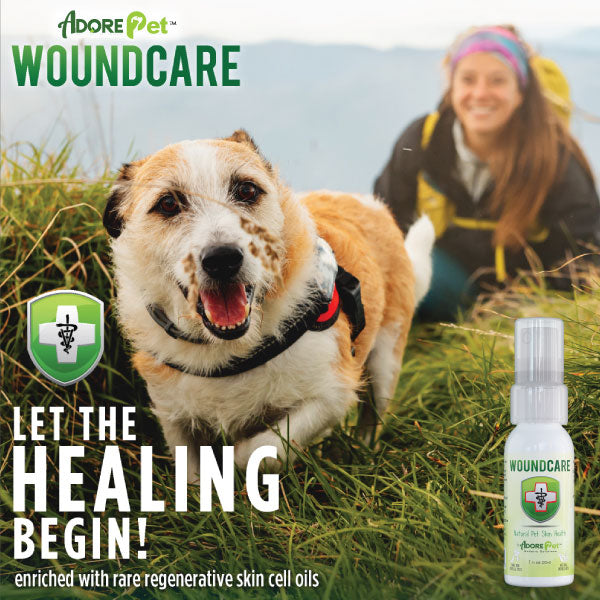 Adore Pet Wound Care Holistic Healing Oil