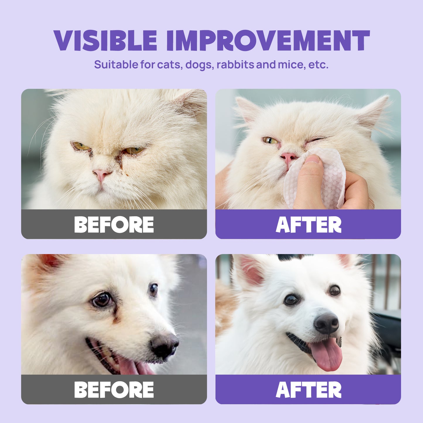 HICC Pet Hypoallergenic Eye Wipes 100pcs - Manuka Honey