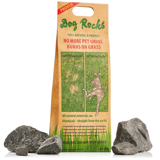 Dog Rocks - 6 months supply of Dog Rocks - 1.2lb of Dog Rocks (600g Dog Rocks Packs)