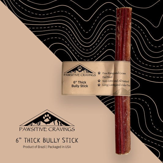 Pawsitive Cravings 6 inch Thick Bully Stick (Pack of 50 / $2.50ea)