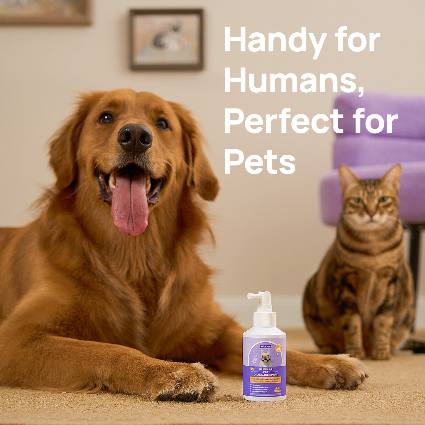 HICC Pet Oral Care Spray 5.1 fl oz