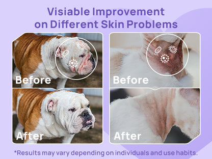 HICC Pet Wound & Antimicrobial Spray 2X Power-10 fl oz