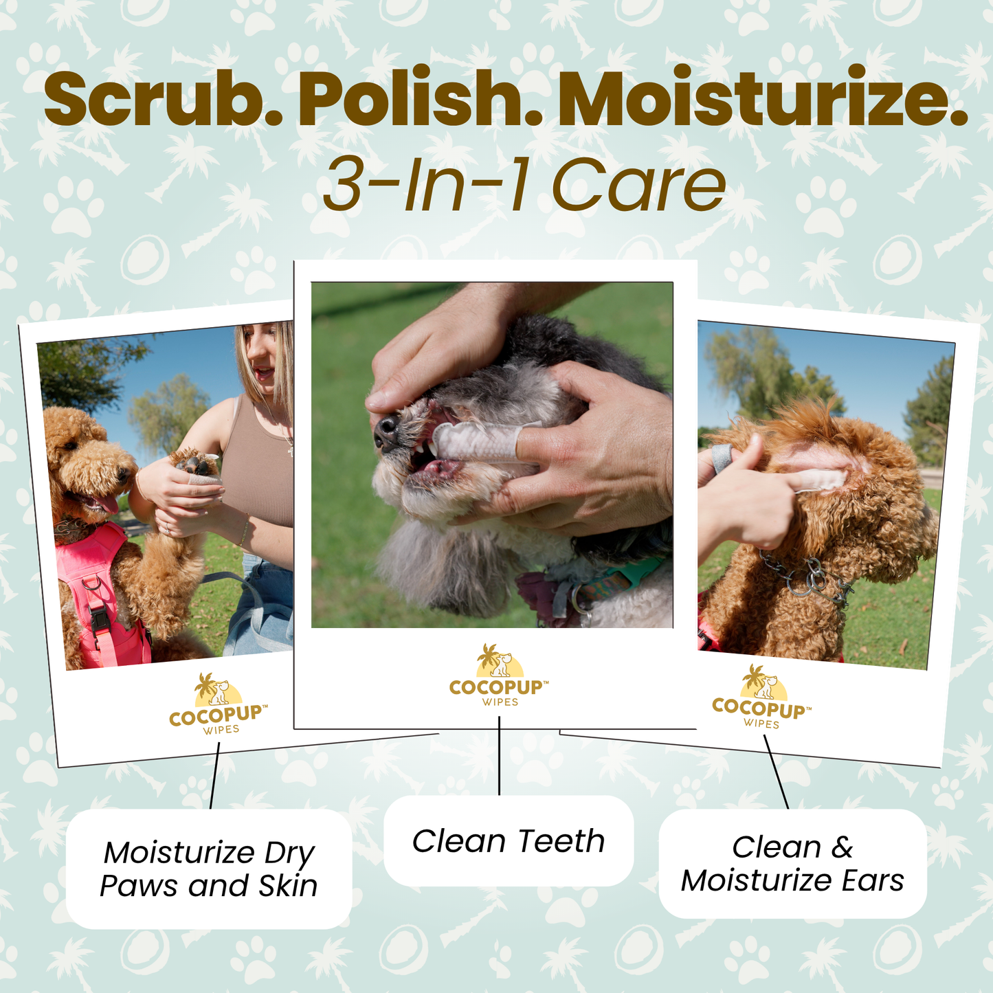 COCOPUP Wipes 100% Coconut Oil Finger Wipes (25 packs / 50 wipes per pack)