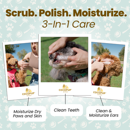 COCOPUP Wipes 100% Coconut Oil Finger Wipes (25 packs / 50 wipes per pack)