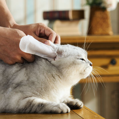 HICC Pet Relief Ear Finger Wipes 50pcs