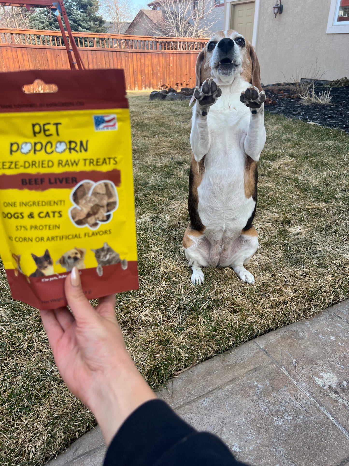 Pet Popcorn Beef Liver Treats