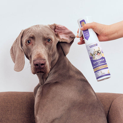 HICC Pet Wound & Antimicrobial Spray 2X Power-10 fl oz