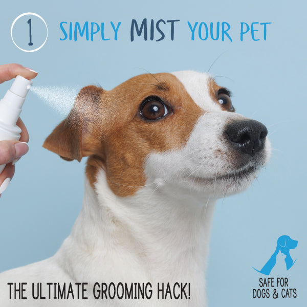 Adore Pet Waterless Shampoo & Conditioner No Rinse for Dogs & Cats