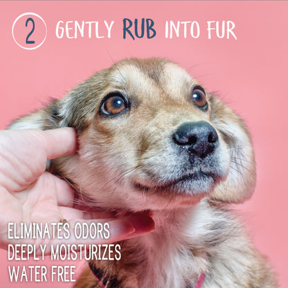 Adore Pet Waterless Shampoo & Conditioner No Rinse for Dogs & Cats